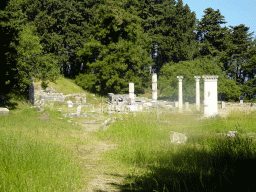 Trees, columns and ruins at the Second Terrace of the Asclepeion, viewed from the path on the east side