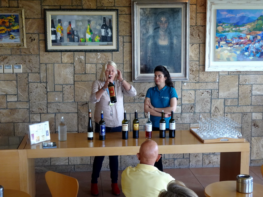 Our tour guide explaining the wine tasting at the Triantafyllopoulos Winery