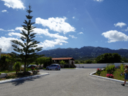 Tree and building at the Triantafyllopoulos Winery, with a view on Mount Dikeos