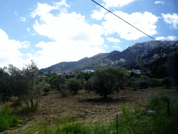 Hills at the north side of the town of Zia, viewed from the tour bus on the Miniera Asfendiou street