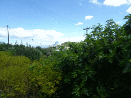 The Holy Church of the Birth of the Virgin Mary at the north side of the town of Zia, viewed from the tour bus on the Miniera Asfendiou street