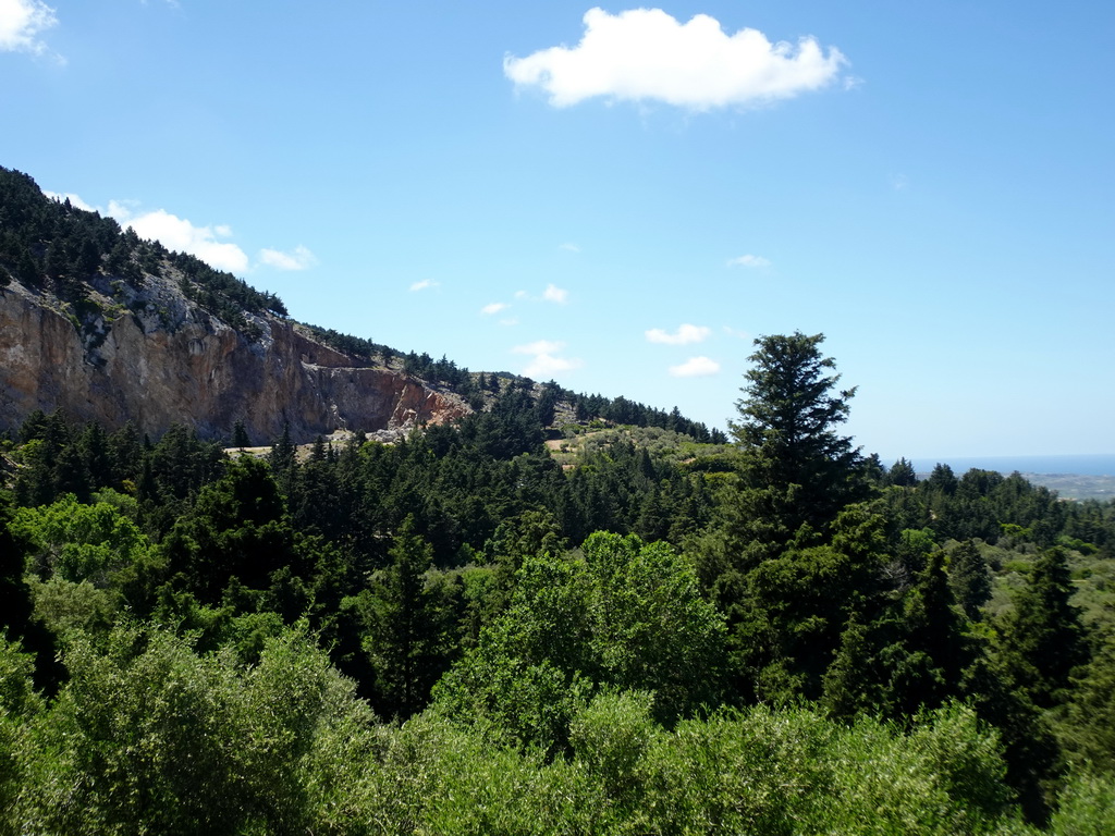 Trees on the slope of Mount Dikeos, viewed from the viewing point at the north side of the town of Zia