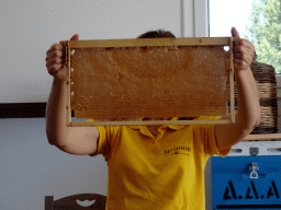 Beehive drawer with honey at the Melissa Honey Farm at the east side of the town of Kefalos