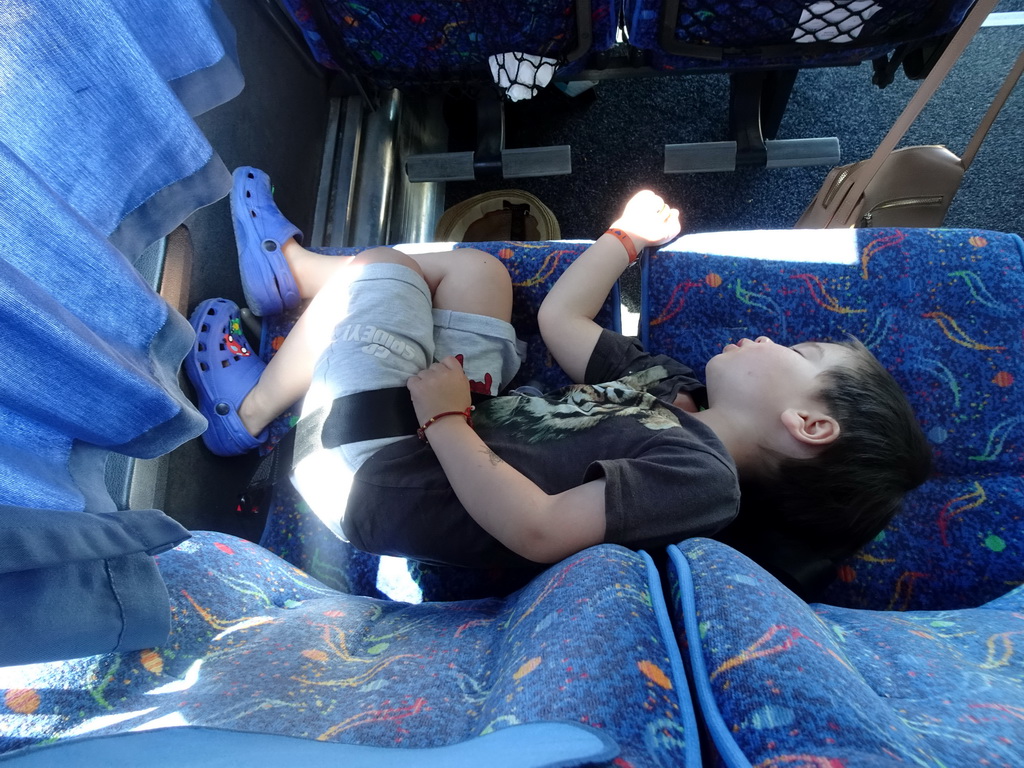 Max sleeping in the tour bus at the Melissa Honey Farm at the east side of the town of Kefalos