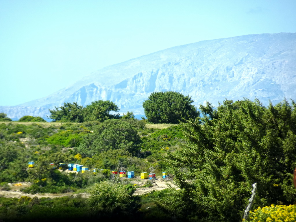 Beehives near the Melissa Honey Farm at the east side of the town of Kefalos, and the mountains on the southwest end of the island