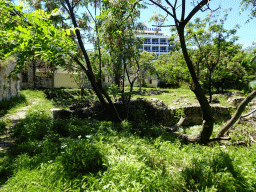 The Archaeological Site of the Northern Baths
