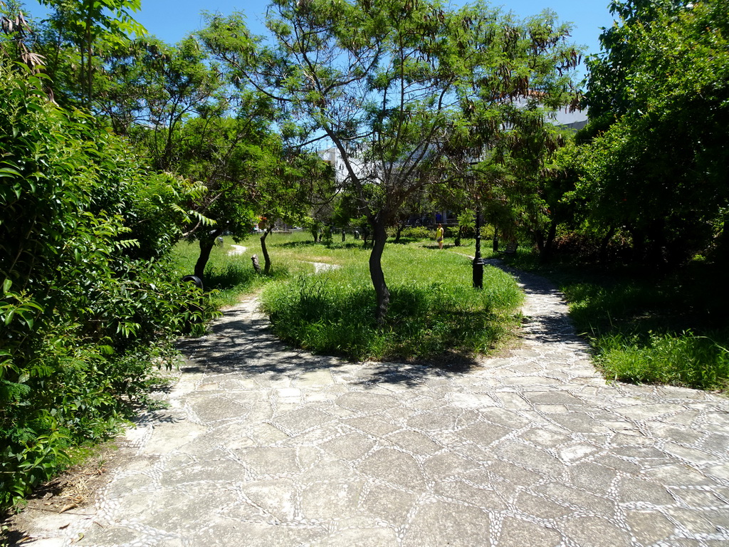 The Archaeological Site of the Northern Baths