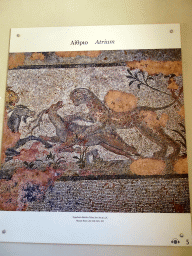 Photograph of the mosaics at the Atrium at the Casa Romana museum, with explanation