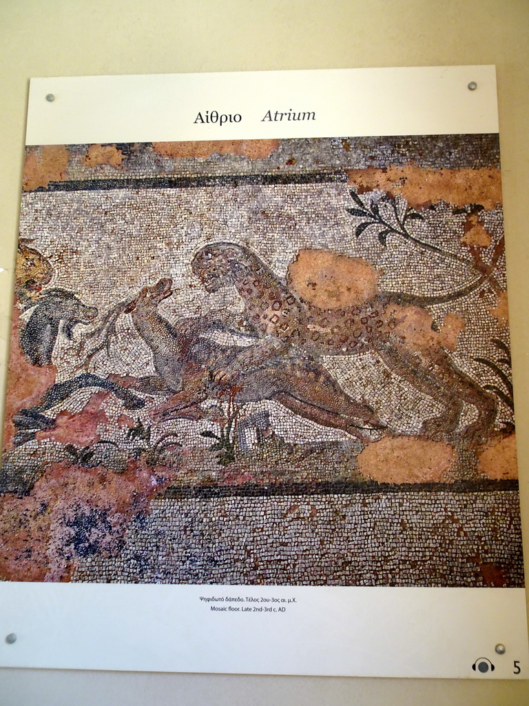 Photograph of the mosaics at the Atrium at the Casa Romana museum, with explanation