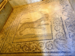 Mosaic floor of a Tiger at the Casa Romana museum