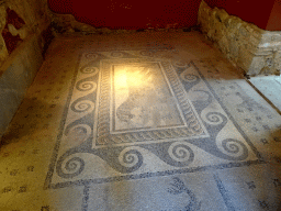Mosaic floor of a Panther at the Domestic Roman bath at the Casa Romana museum