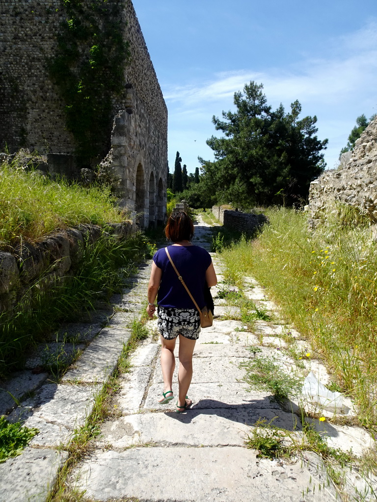 Miaomiao at the Paved Road at the West Archaeological Site