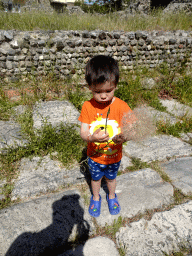 Max with a Dandelion at the Paved Road at the West Archaeological Site