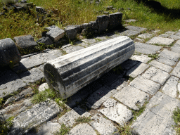 Column at the Ancient Gymnasium at the West Archaeological Site