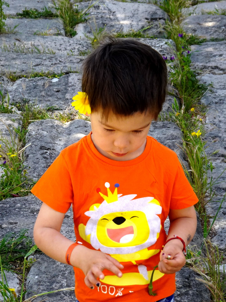 Max with a flower in his hair at the Paved Road at the West Archaeological Site