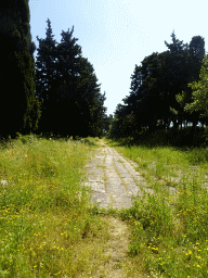 Road at the southeast side of the West Archaeological Site