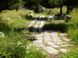 Road at the southeast side of the West Archaeological Site