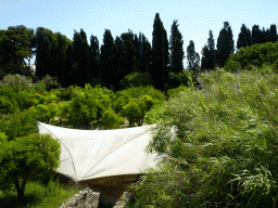 Tent covering a mosaic east of the Roman Odeum, viewed from the upper east side