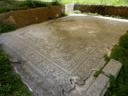 Mosaic on the east side of the Roman Odeum