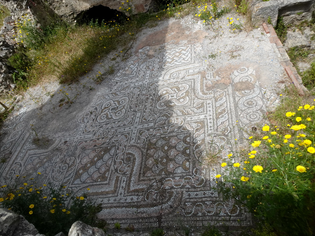 Mosaic at the Ancient Gymnasium at the West Archaeological Site