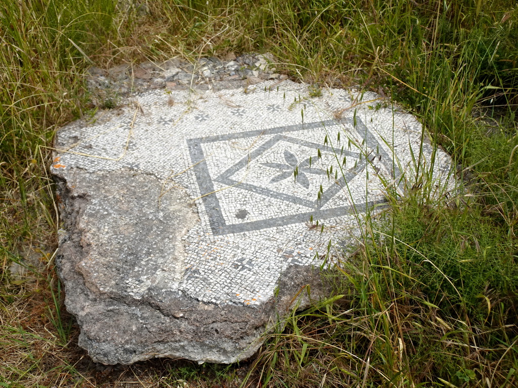 Mosaic at the Xystos Gymnasium at the West Archaeological Site