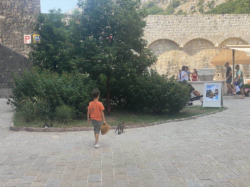 Max with a cat and a fountain at the Cat Park