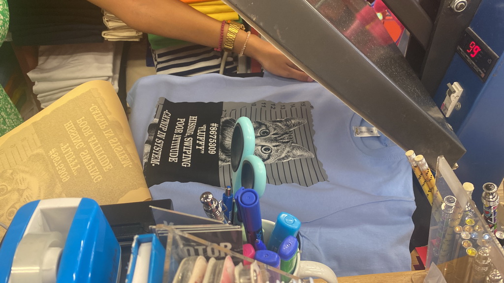 Max`s cat shirt being printed at a shop at the southeast side of the Cat Park