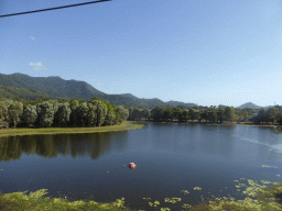 Lake at the Smithfield Skyrail Terminal, viewed from the Skyrail Rainforest Cableway gondola