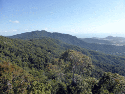 Tropical rainforest northwest of Smithfield, viewed from the Skyrail Rainforest Cableway gondola