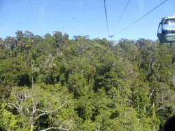 Tropical rainforest west of Smithfield, viewed from the Skyrail Rainforest Cableway gondola