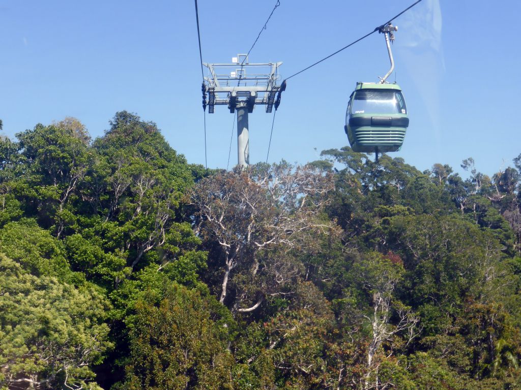 Tropical rainforest west of Smithfield, viewed from the Skyrail Rainforest Cableway gondola