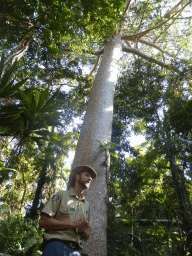 Ranger and Kauri Pine at the boardwalk at Red Peak Skyrail Station