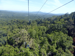 Tropical rainforest northwest of Red Peak Skyrail Station, viewed from the Skyrail Rainforest Cableway gondola