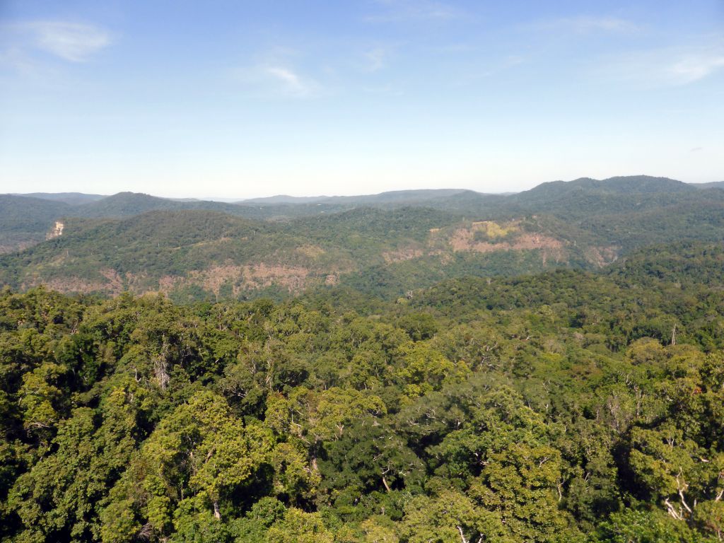 Rocks and tropical rainforest northwest of Red Peak Skyrail Station, viewed from the Skyrail Rainforest Cableway gondola