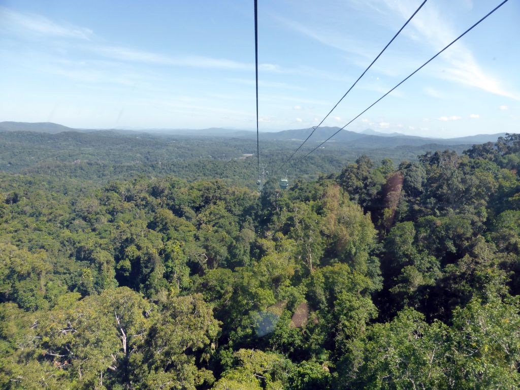 Tropical rainforest northwest of Red Peak Skyrail Station, viewed from the Skyrail Rainforest Cableway gondola