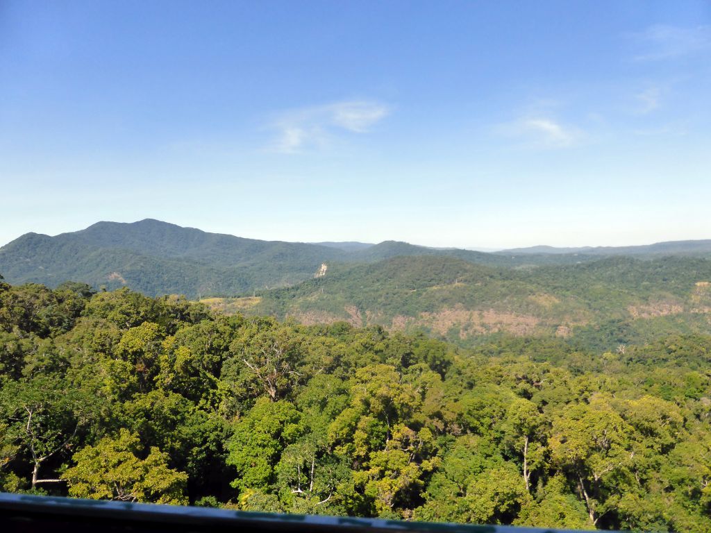 Rocks and tropical rainforest northwest of Red Peak Skyrail Station, viewed from the Skyrail Rainforest Cableway gondola