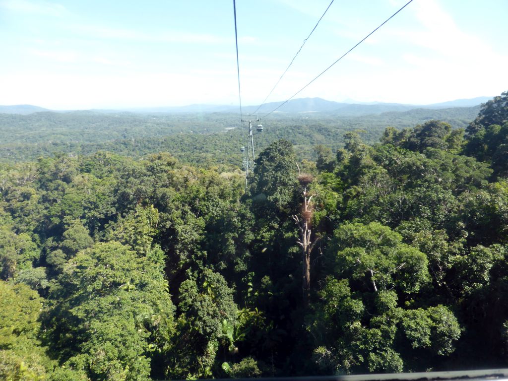 Rocks and tropical rainforest northwest of Red Peak Skyrail Station, viewed from the Skyrail Rainforest Cableway gondola