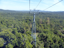 Tropical rainforest northwest of Red Peak Skyrail Station, viewed from the Skyrail Rainforest Cableway gondola