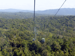 Tropical rainforest northwest of Red Peak Skyrail Station, viewed from the Skyrail Rainforest Cableway gondola