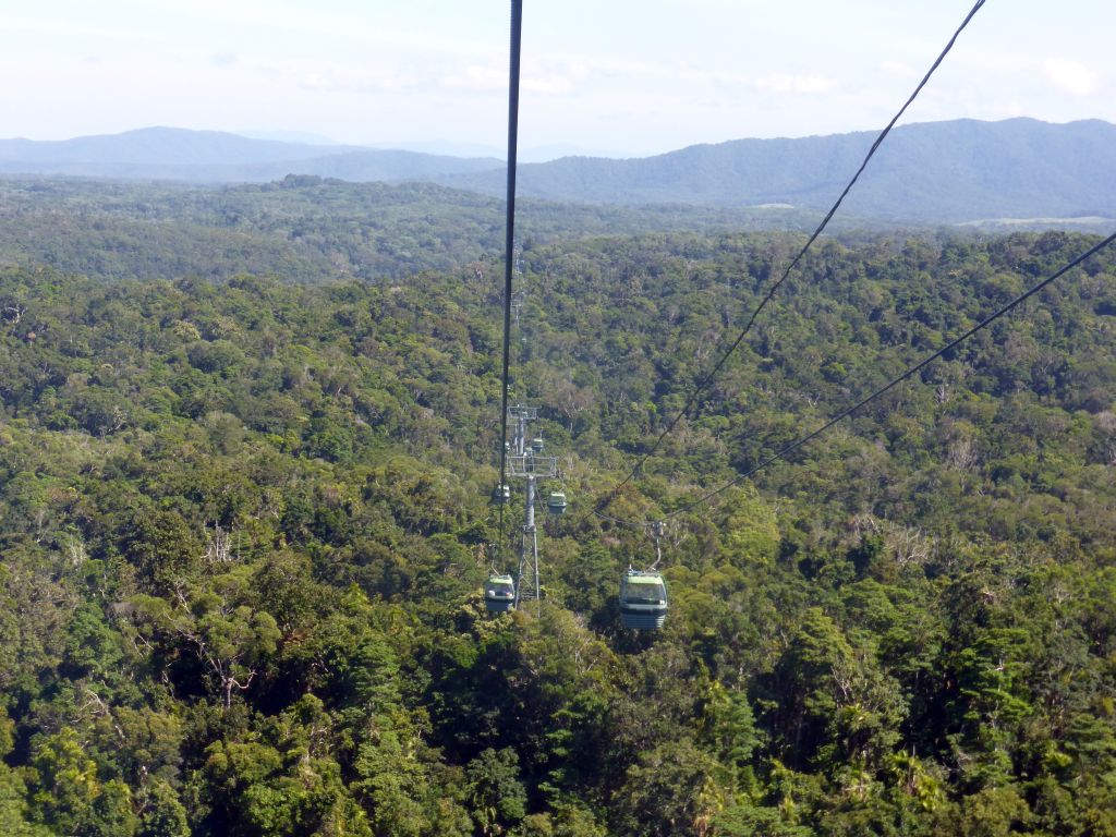 Tropical rainforest northwest of Red Peak Skyrail Station, viewed from the Skyrail Rainforest Cableway gondola