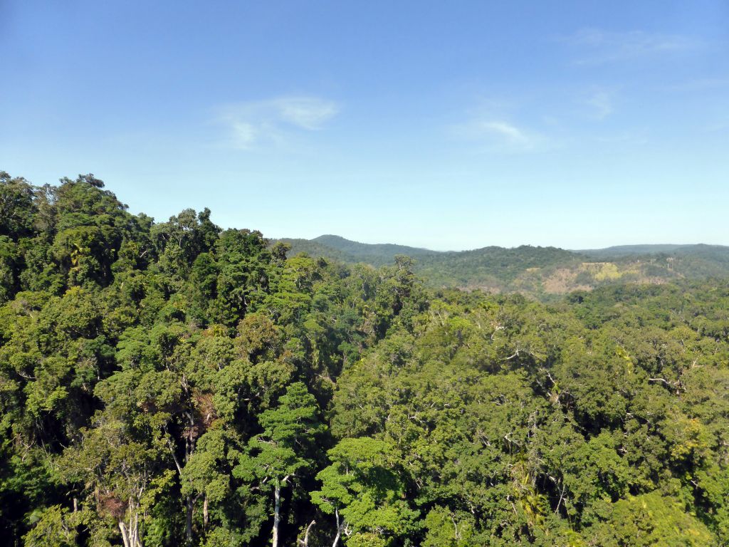 Rocks and tropical rainforest northwest of Red Peak Skyrail Station, viewed from the Skyrail Rainforest Cableway gondola