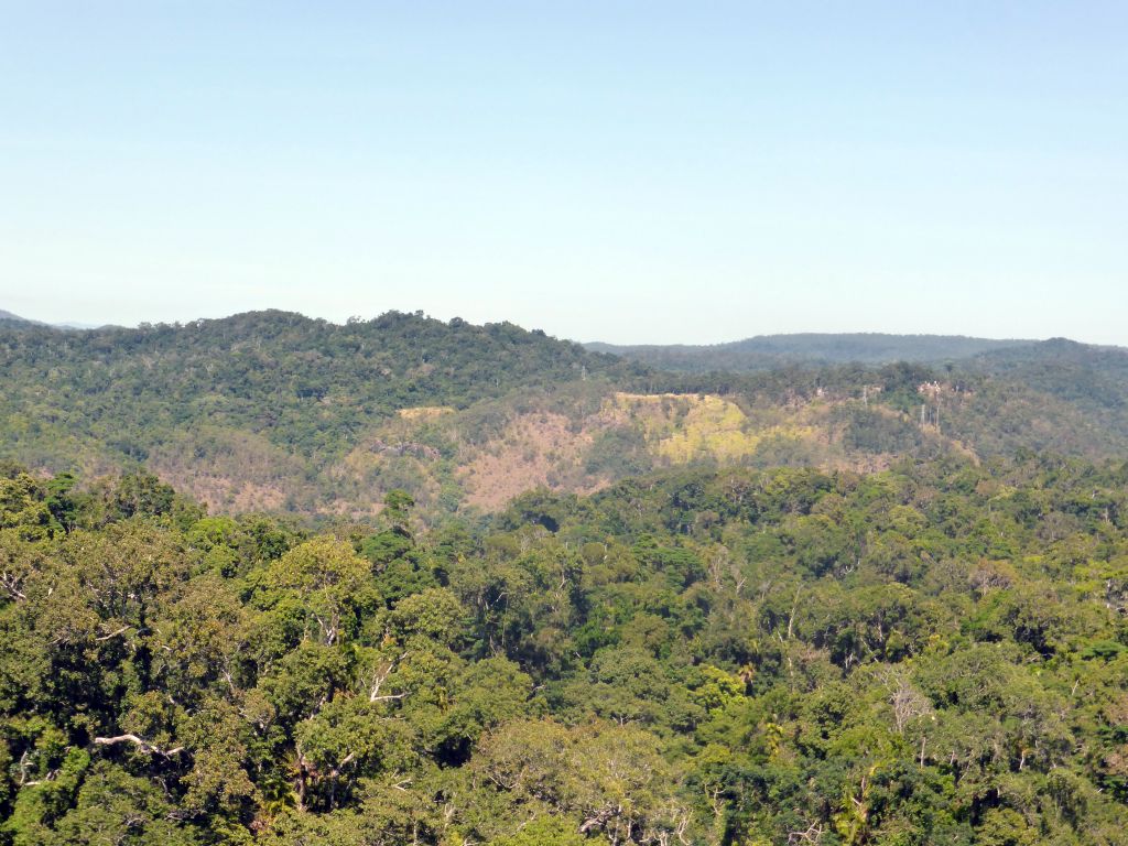 Rocks and tropical rainforest northwest of Red Peak Skyrail Station, viewed from the Skyrail Rainforest Cableway gondola