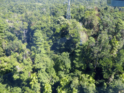 Tropical rainforest northwest of Red Peak Skyrail Station, viewed from the Skyrail Rainforest Cableway gondola