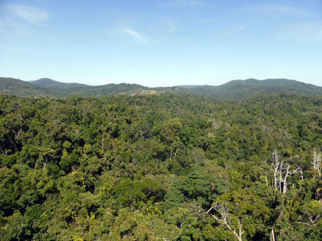 Rocks and tropical rainforest northwest of Red Peak Skyrail Station, viewed from the Skyrail Rainforest Cableway gondola