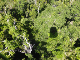 Top of the trees at the tropical rainforest northwest of Red Peak Skyrail Station, viewed from the Skyrail Rainforest Cableway gondola