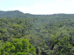 Tropical rainforest northwest of Red Peak Skyrail Station, viewed from the Skyrail Rainforest Cableway gondola