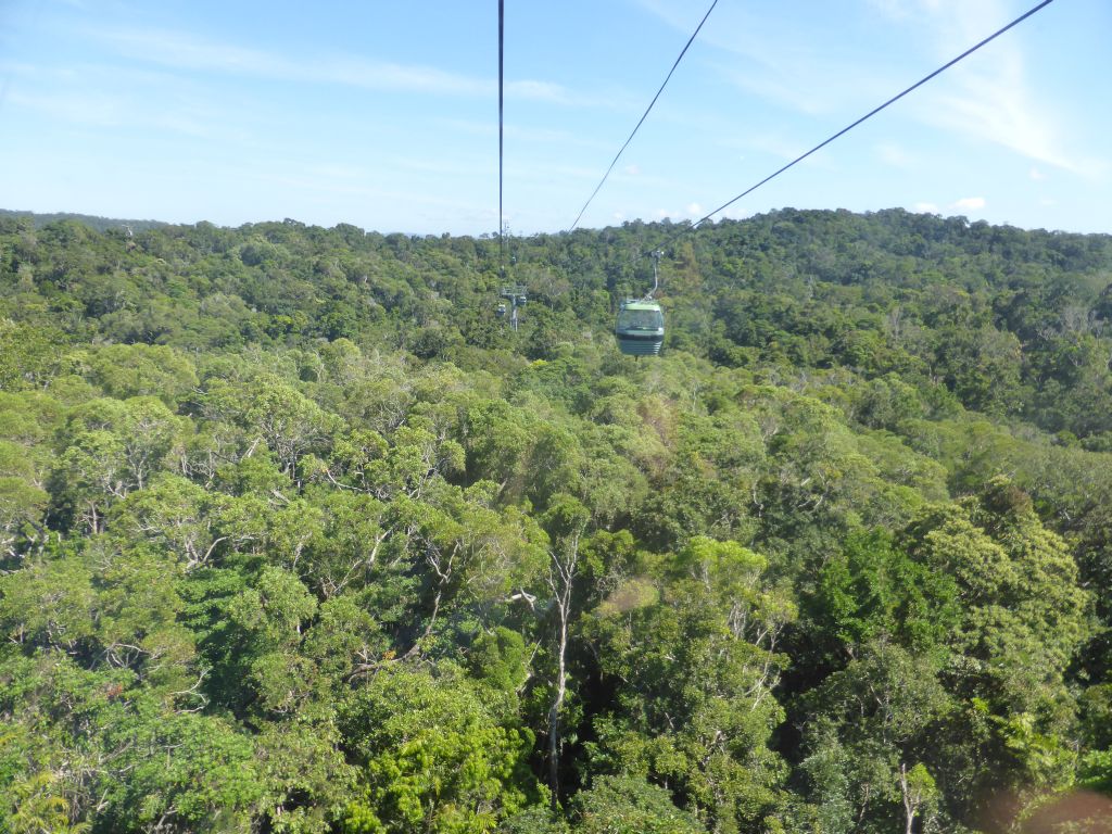 Tropical rainforest northwest of Red Peak Skyrail Station, viewed from the Skyrail Rainforest Cableway gondola