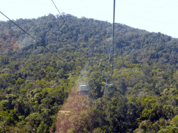 Tropical rainforest northwest of Red Peak Skyrail Station, viewed from the Skyrail Rainforest Cableway gondola