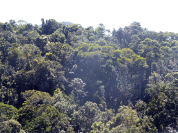 Tropical rainforest southeast of Barron Falls Skyrail Station, viewed from the Skyrail Rainforest Cableway gondola