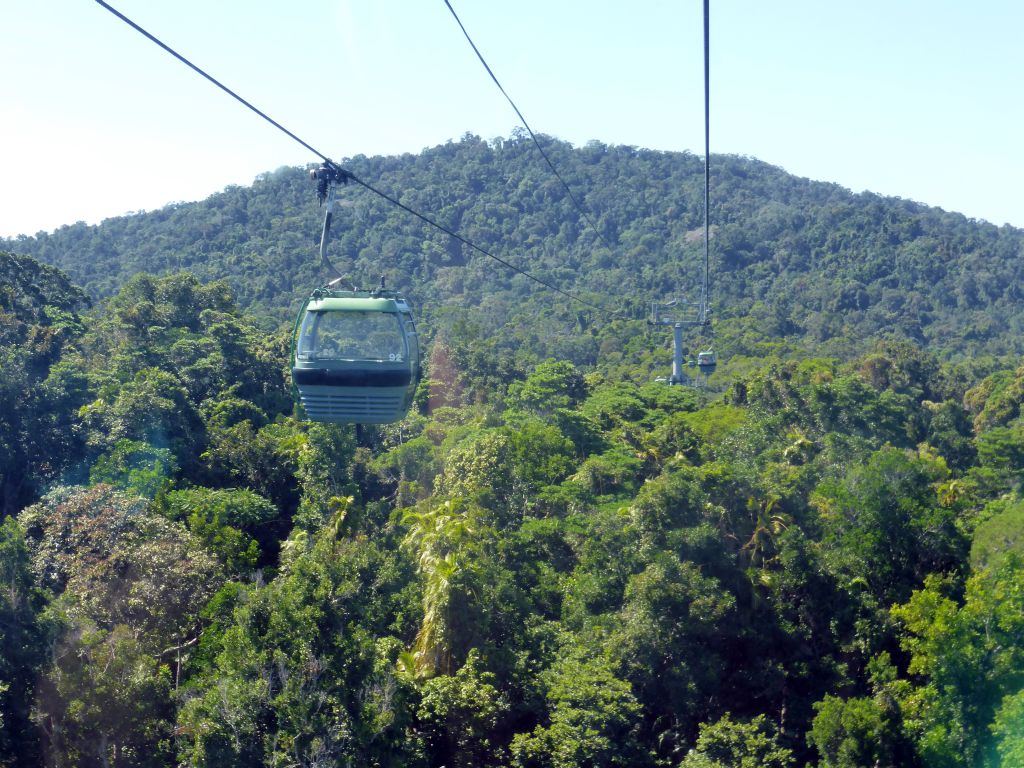 Tropical rainforest southeast of Barron Falls Skyrail Station, viewed from the Skyrail Rainforest Cableway gondola